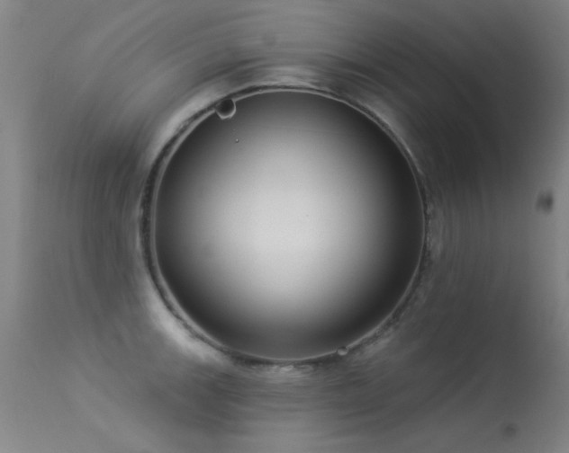 X0000113271139200909171707