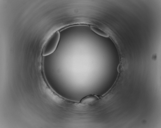X0000113271140200909171707