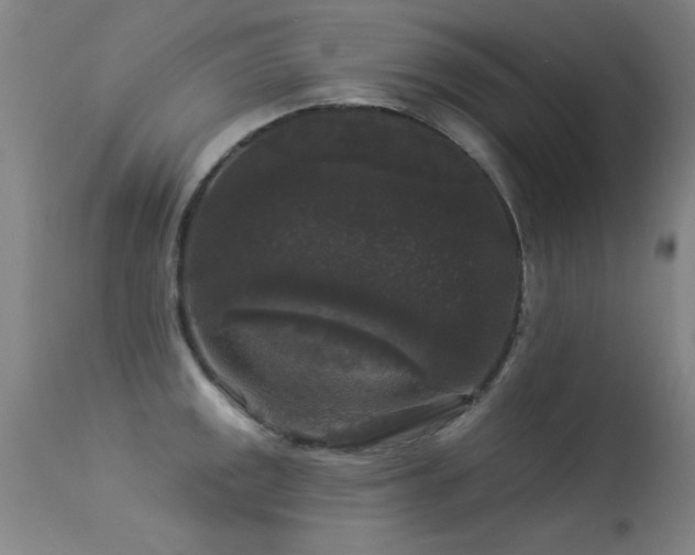 X0000113271141200909171707
