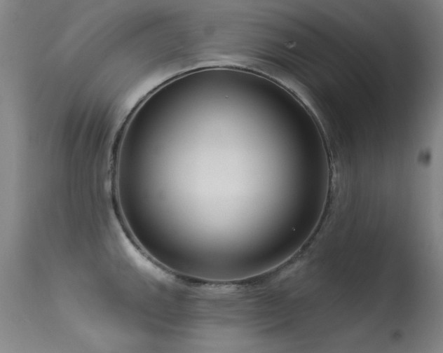 X0000113271143200909171707