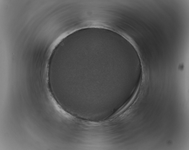 X0000113271144200909171707