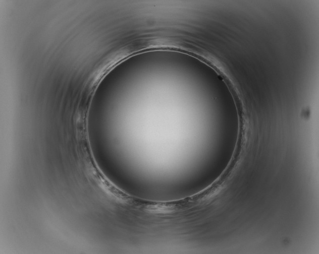 X0000113271145200909171707