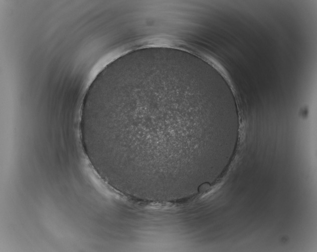 X0000113271146200909171707