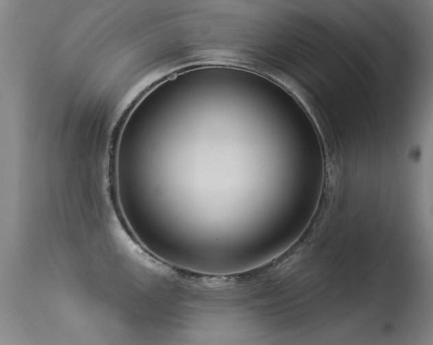 X0000113271147200909171708
