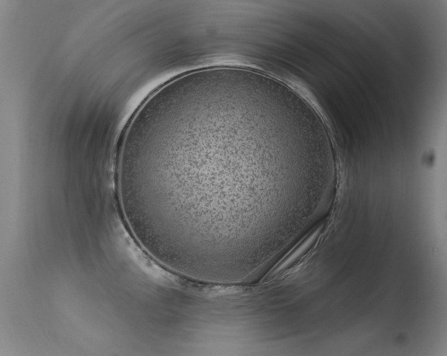 X0000113271148200909171708