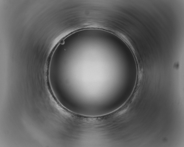 X0000113271149200909171708