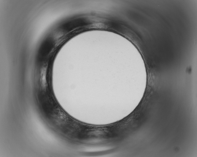 X0000113271150200909171708