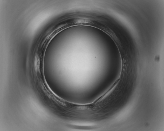 X0000113271151200909171708