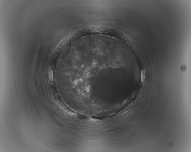 X0000113271155200909171707