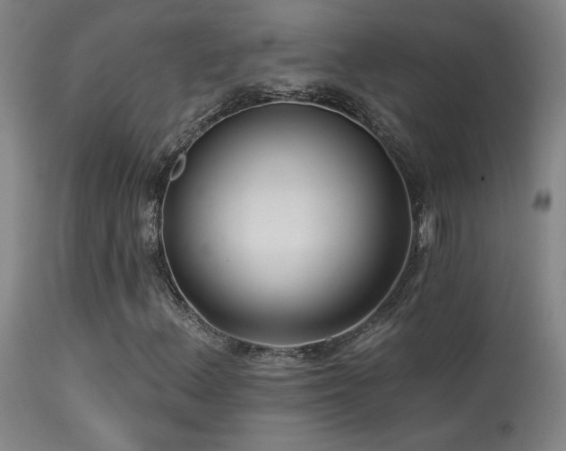 X0000113271156200909171707