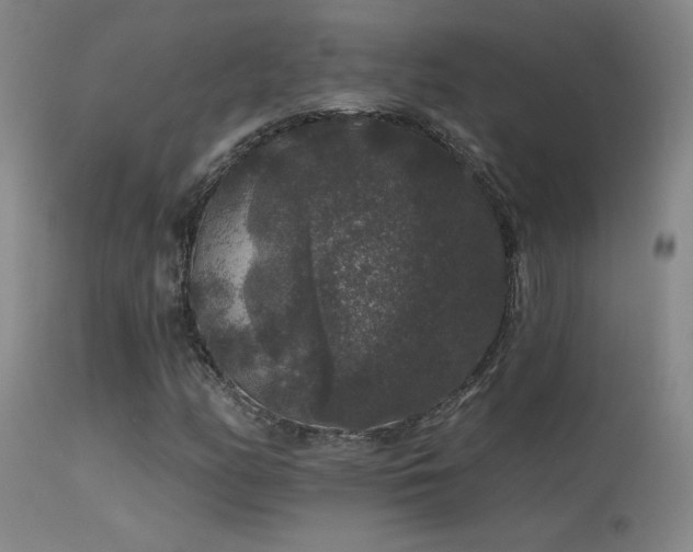 X0000113271158200909171707