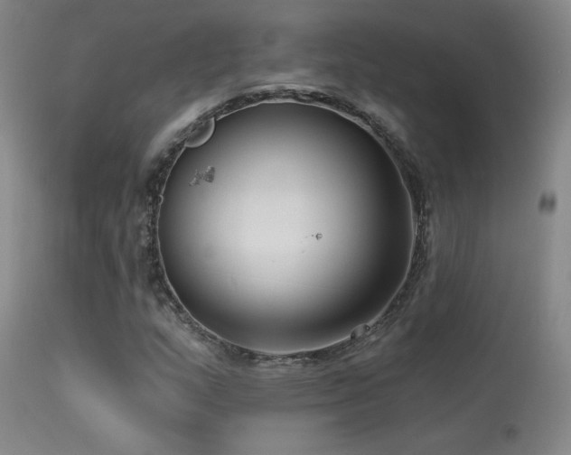 X0000113271159200909171707