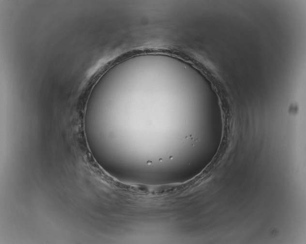 X0000113271160200909171707