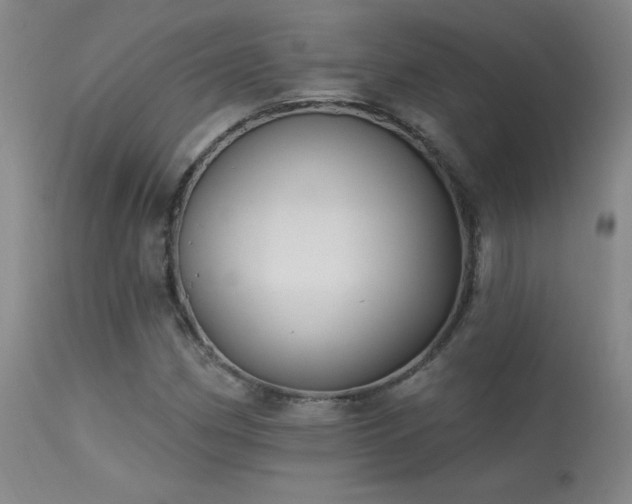 X0000113271162200909171707