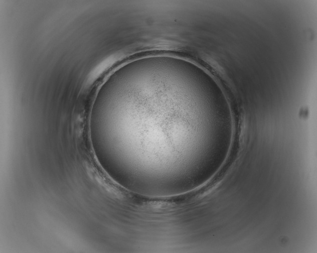 X0000113271163200909171707