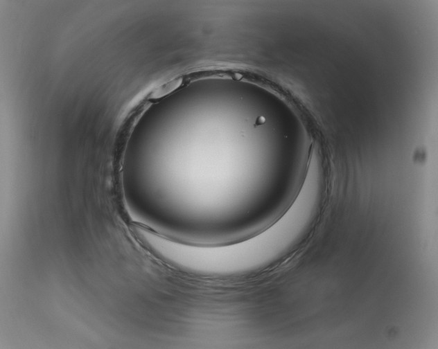 X0000113271165200909171707