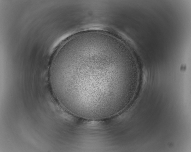 X0000113271166200909171707