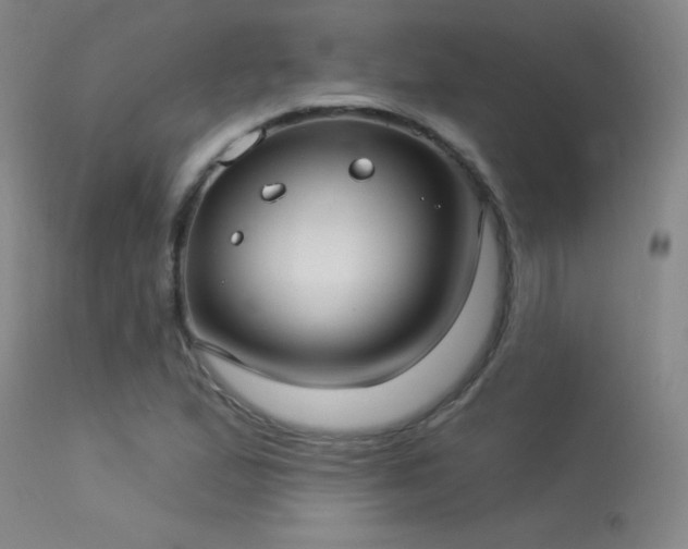 X0000113271167200909171707