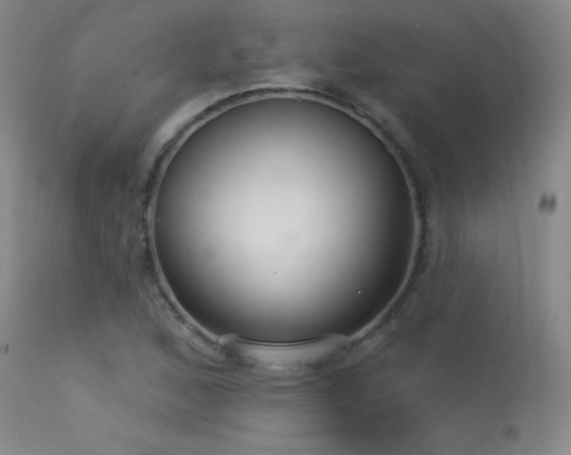 X0000113271168200909171707