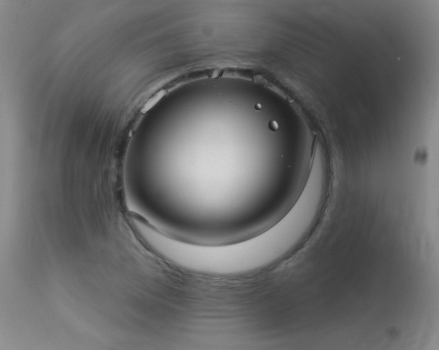 X0000113271169200909171707