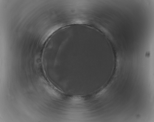 X0000113271170200909171707