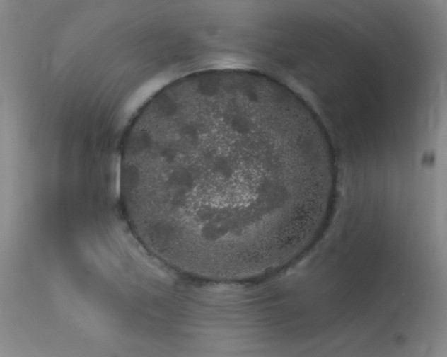 X0000113271171200909171707
