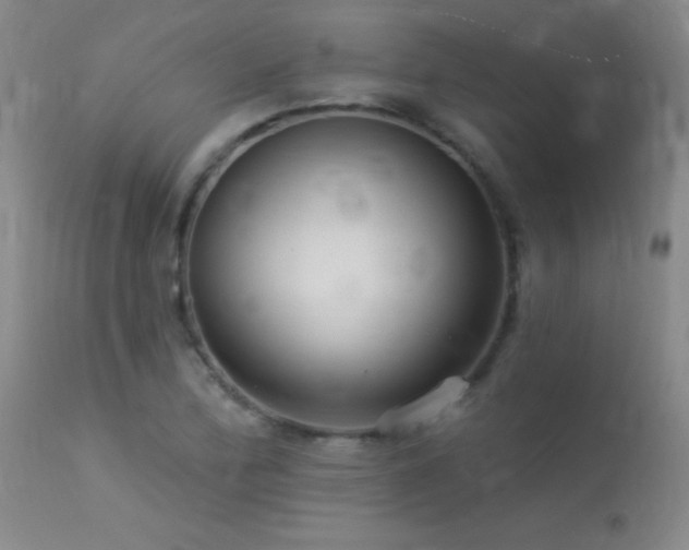 X0000113271172200909171707