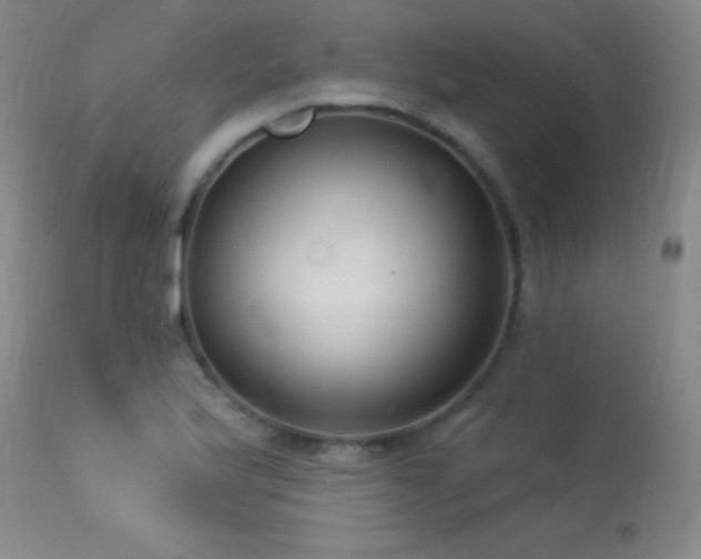 X0000113271175200909171707
