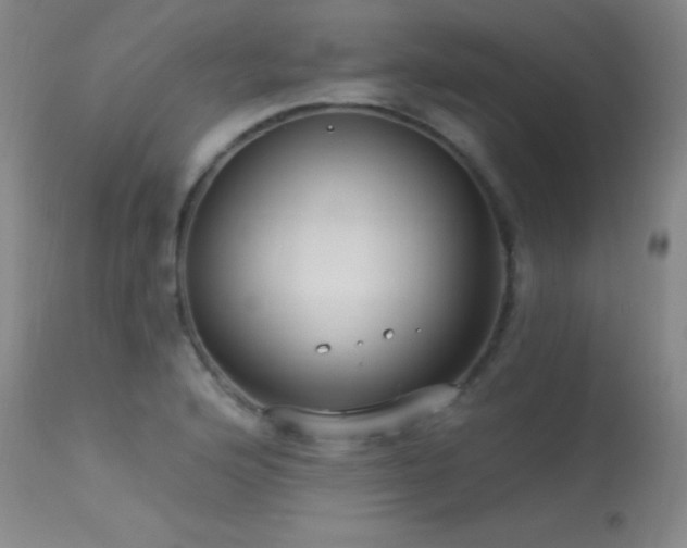 X0000113271176200909171707