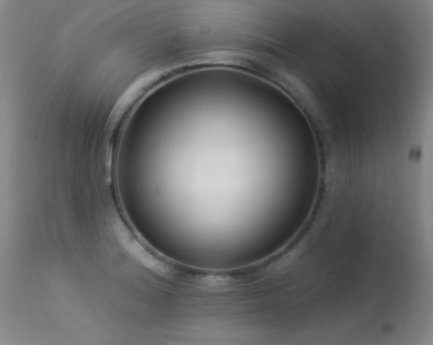 X0000113271180200909171706