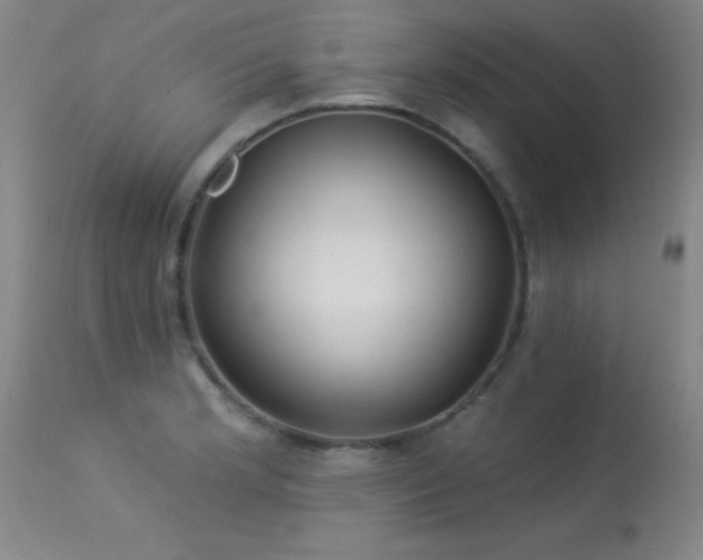 X0000113271181200909171706