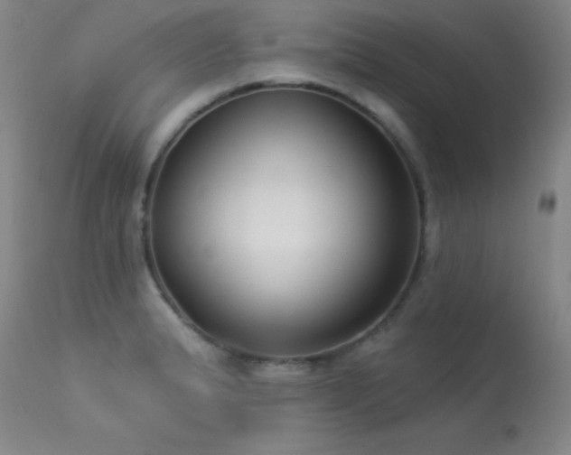X0000113271183200909171706