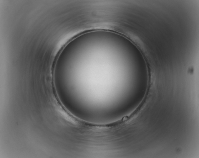 X0000113271184200909171706