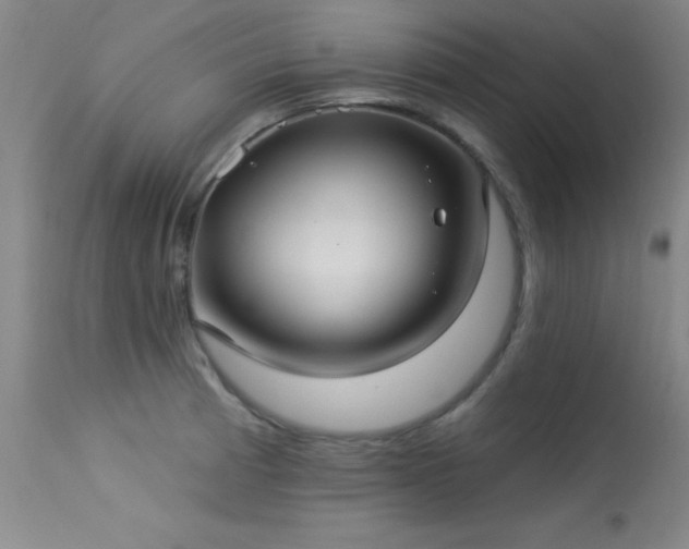 X0000113271185200909171706