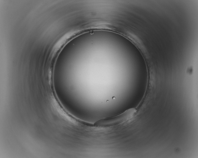X0000113271188200909171706