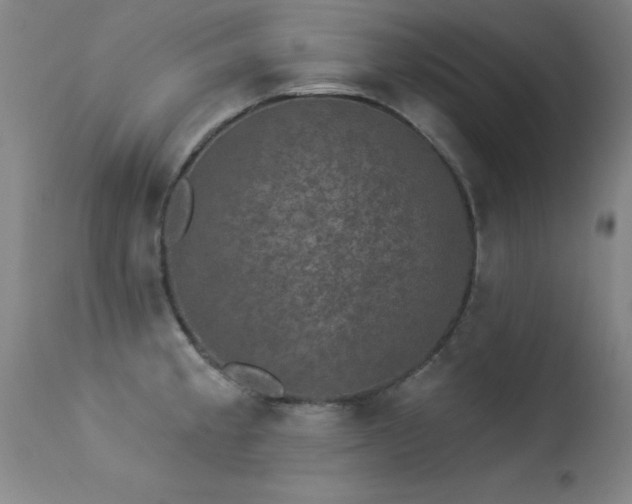 X0000113271189200909171706