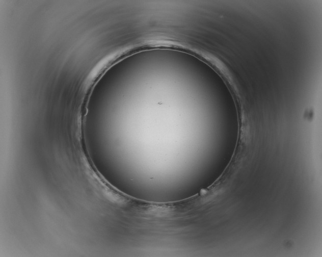 X0000113271191200909171706