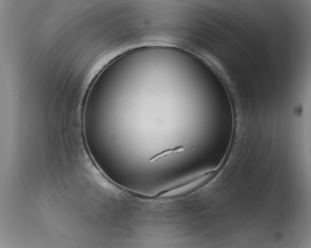 X0000113271192200909171706