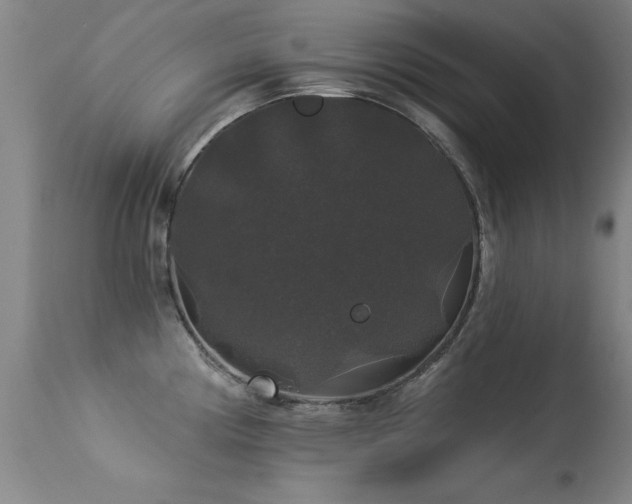 X0000113271194200909171706
