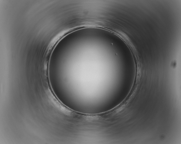 X0000113271196200909171706