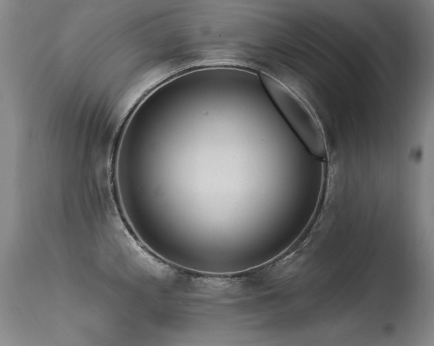 X0000113271197200909171706