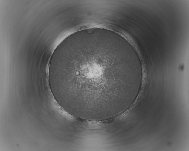 X0000113271198200909171706