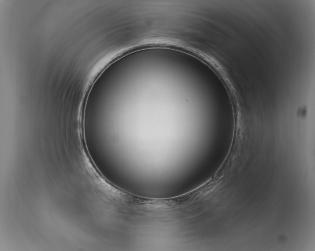 X0000113271199200909171706