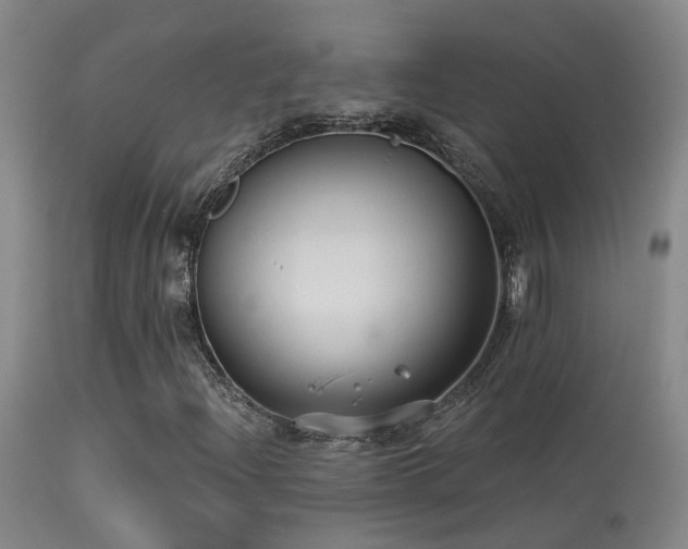 X0000113271204200909171705