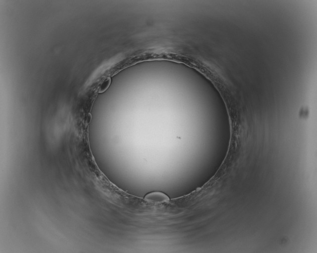 X0000113271207200909171705