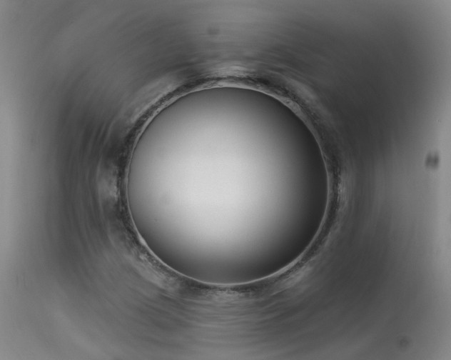 X0000113271209200909171705