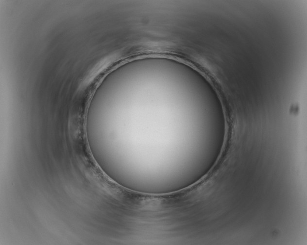 X0000113271211200909171706