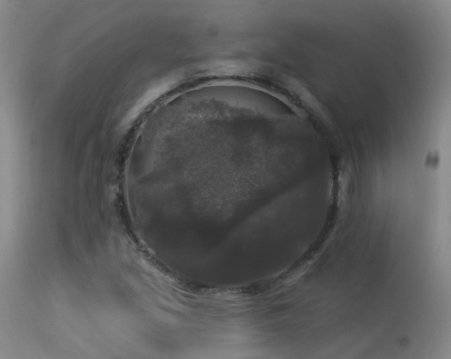 X0000113271213200909171706