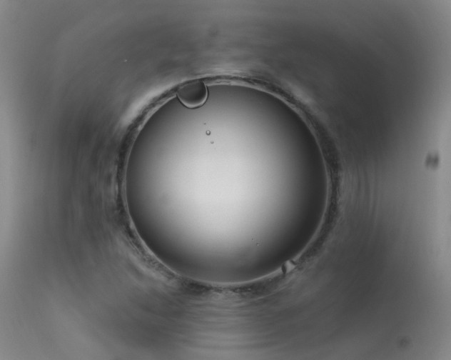 X0000113271214200909171706