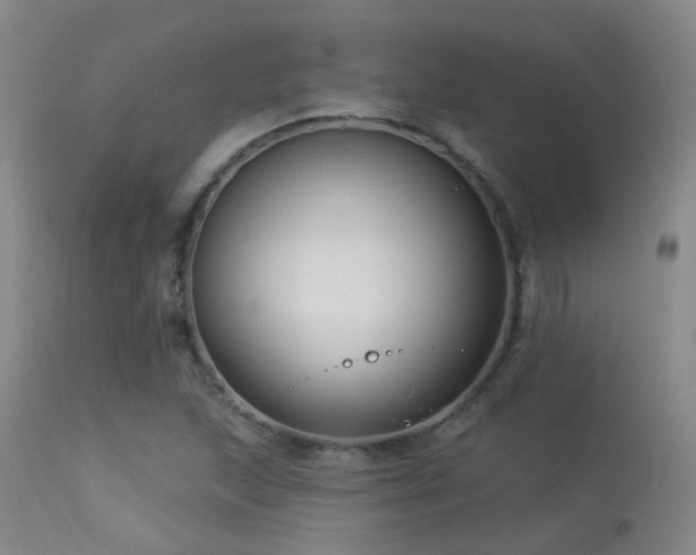 X0000113271215200909171706